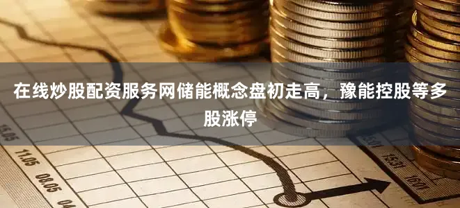 在线炒股配资服务网储能概念盘初走高，豫能控股等多股涨停