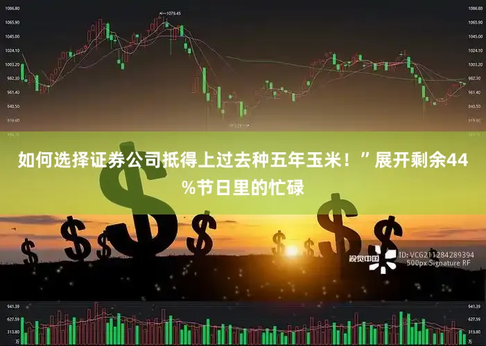 如何选择证券公司抵得上过去种五年玉米！”展开剩余44%节日里的忙碌